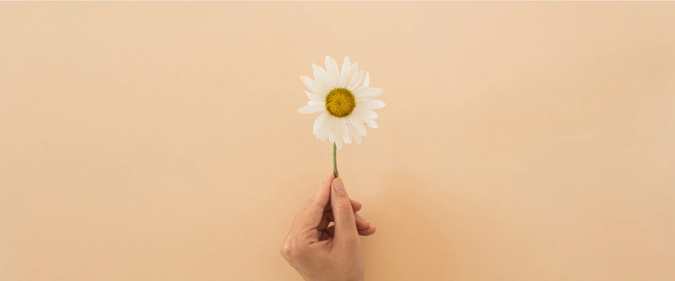 You are currently viewing Simplifying Your Beauty and Lifestyle Routine with Ease